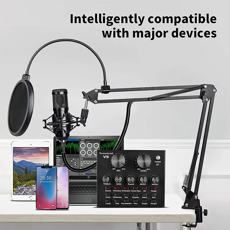 Professional Anchor Capacitance Microphone Wireless Bluetooth Connection for PC Karaoke Live Streaming Studio Recording BM800 Ar